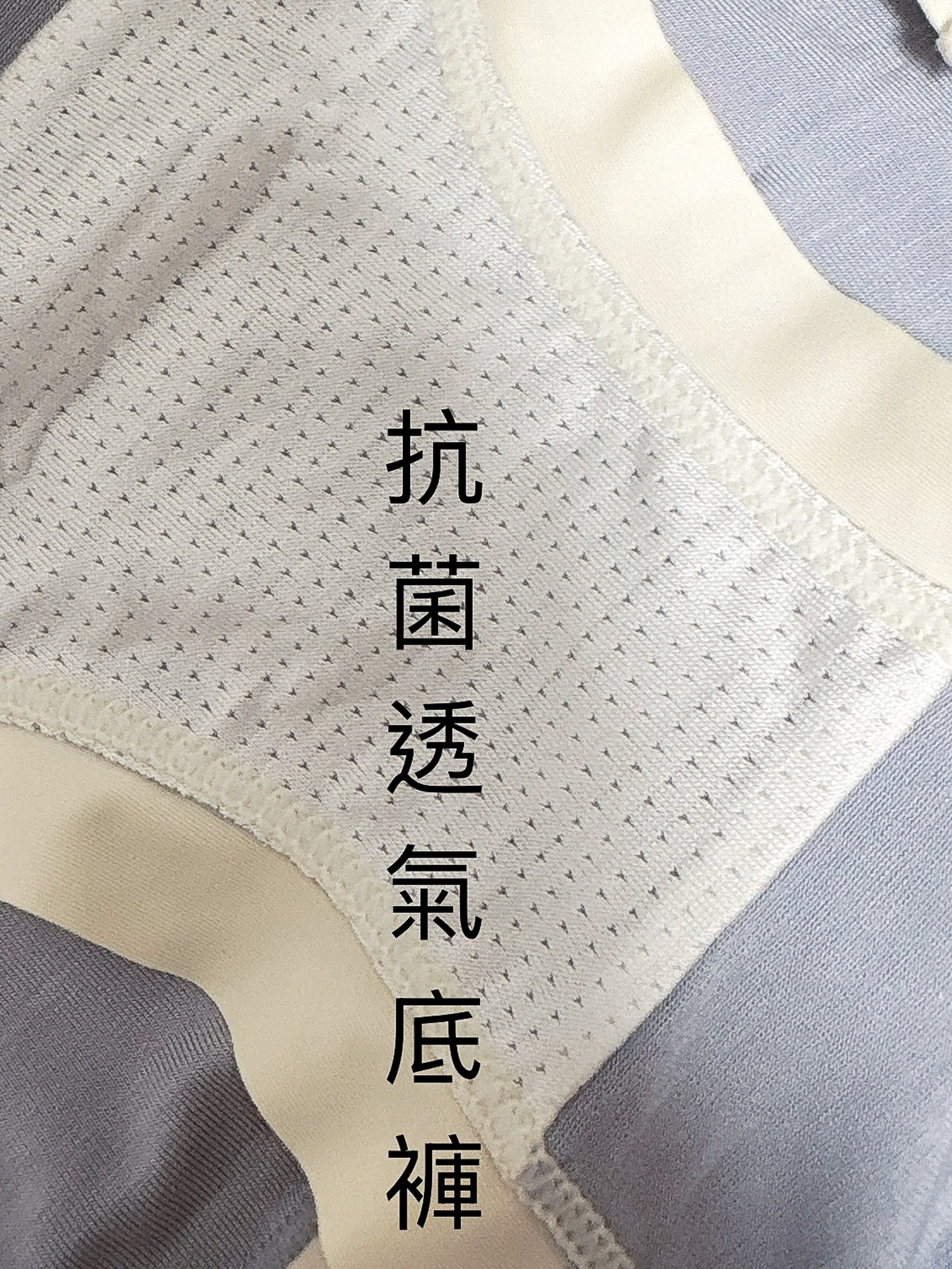 6天份優格抗菌內褲♡